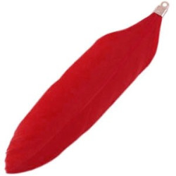 Plumes couleur Rouge 8cm