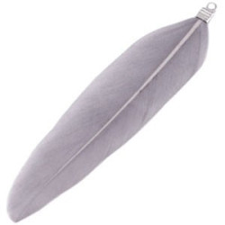 Plumes couleur Gris Clair 8cm