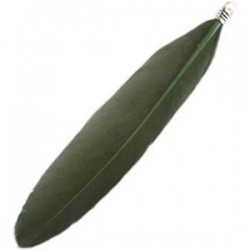 Plumes couleur Vert Olive 8cm