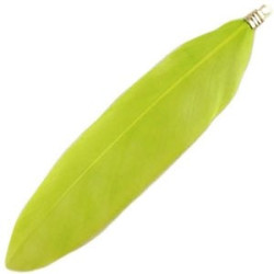 Plumes couleur Vert Vif 8cm