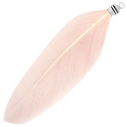 Plumes couleur Rose Poudré 8cm