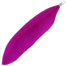 Plumes couleur Fuchsia 8cm