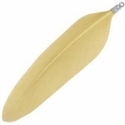 Plumes couleur Ocre Clair 8cm