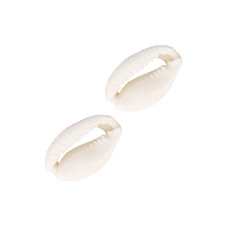 Perles coquillage Cauri Blanc naturel 17x12mm