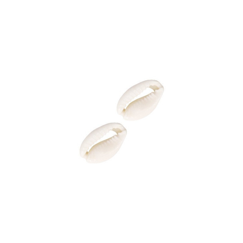 Perles coquillage Cauri Blanc naturel 17x12mm