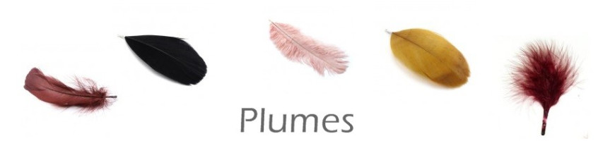 Plumes